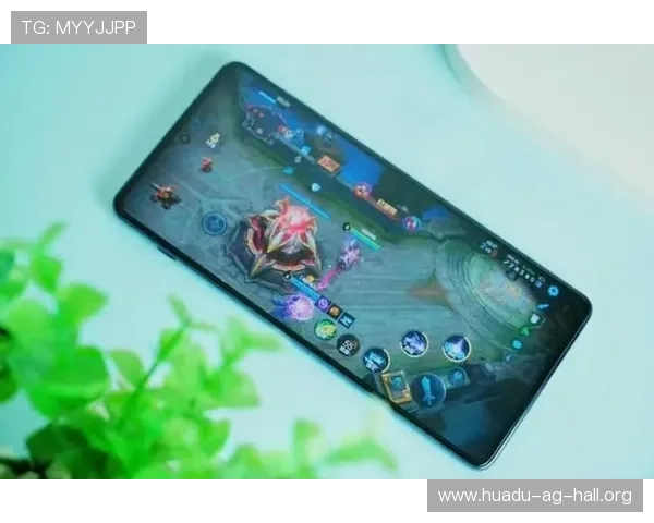 解决AG旗舰厅会员登录常见问题，帮助用户快速排查登录障碍